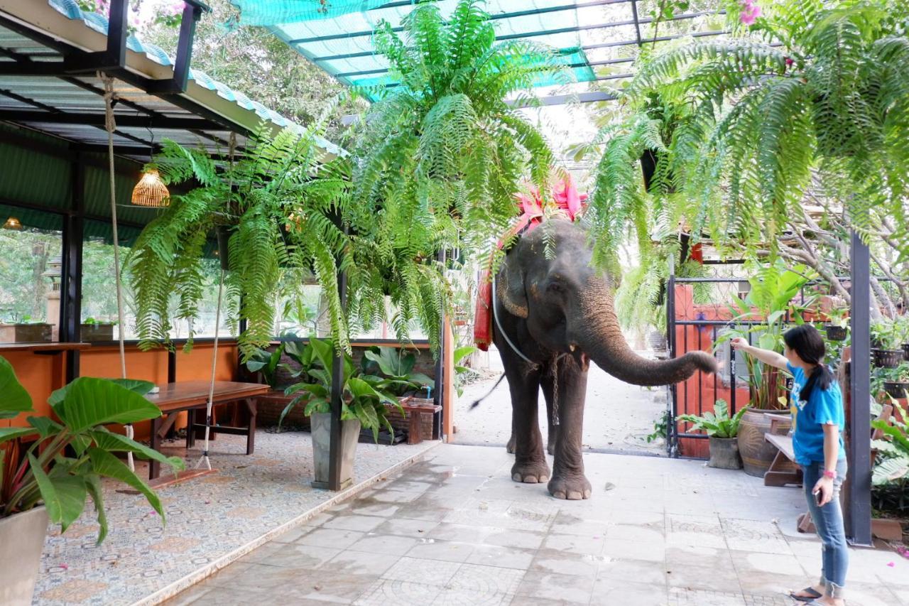The Park Ayutthaya Resort And Spa Eksteriør billede